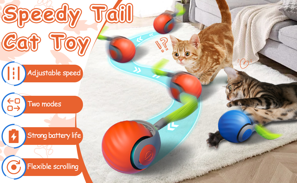 All Things Cat cover photo collage