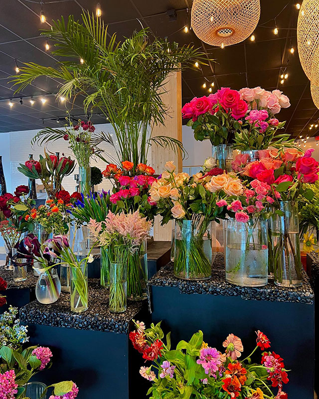 Local Small Business Favorites in Scranton, PA (NEPA) cover photo collage