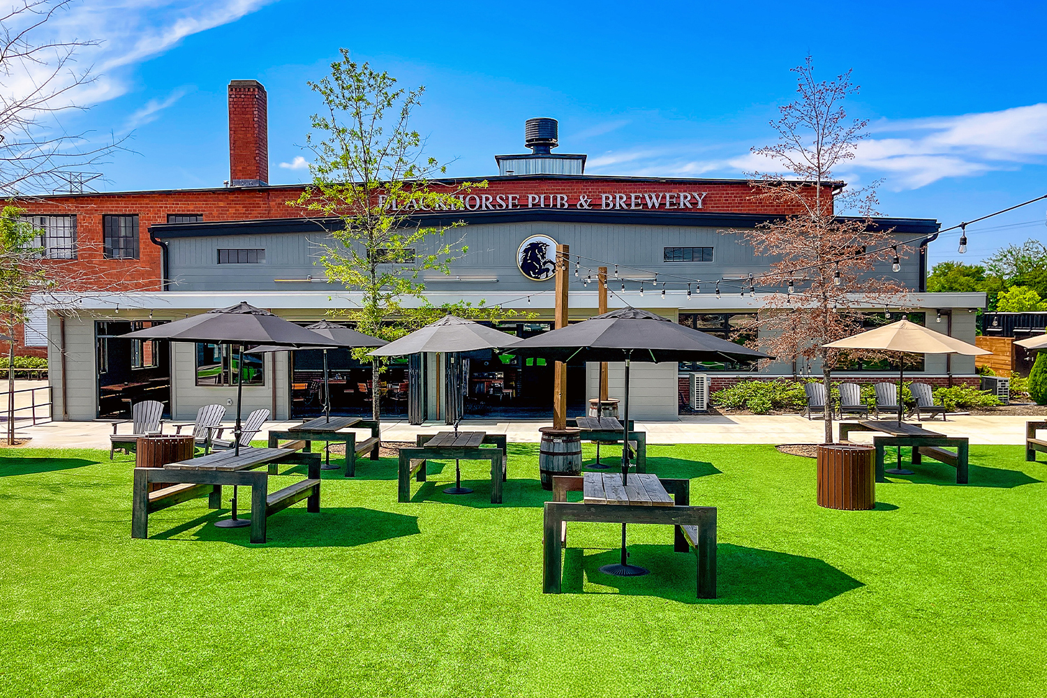 My Favorite Spots In Clarksville, TN 🧡 cover photo collage