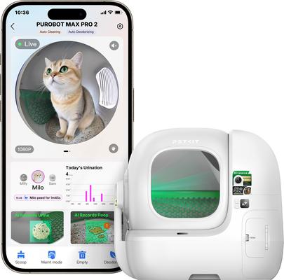 For the cat parents 😻 cover photo collage