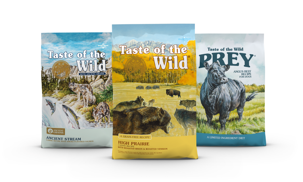 Favorite dog essentials 🐾 cover photo collage