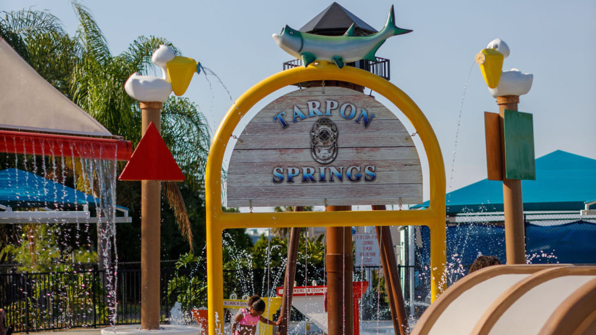 Top Spots around Tarpon Springs to take your Toddlers! cover photo collage