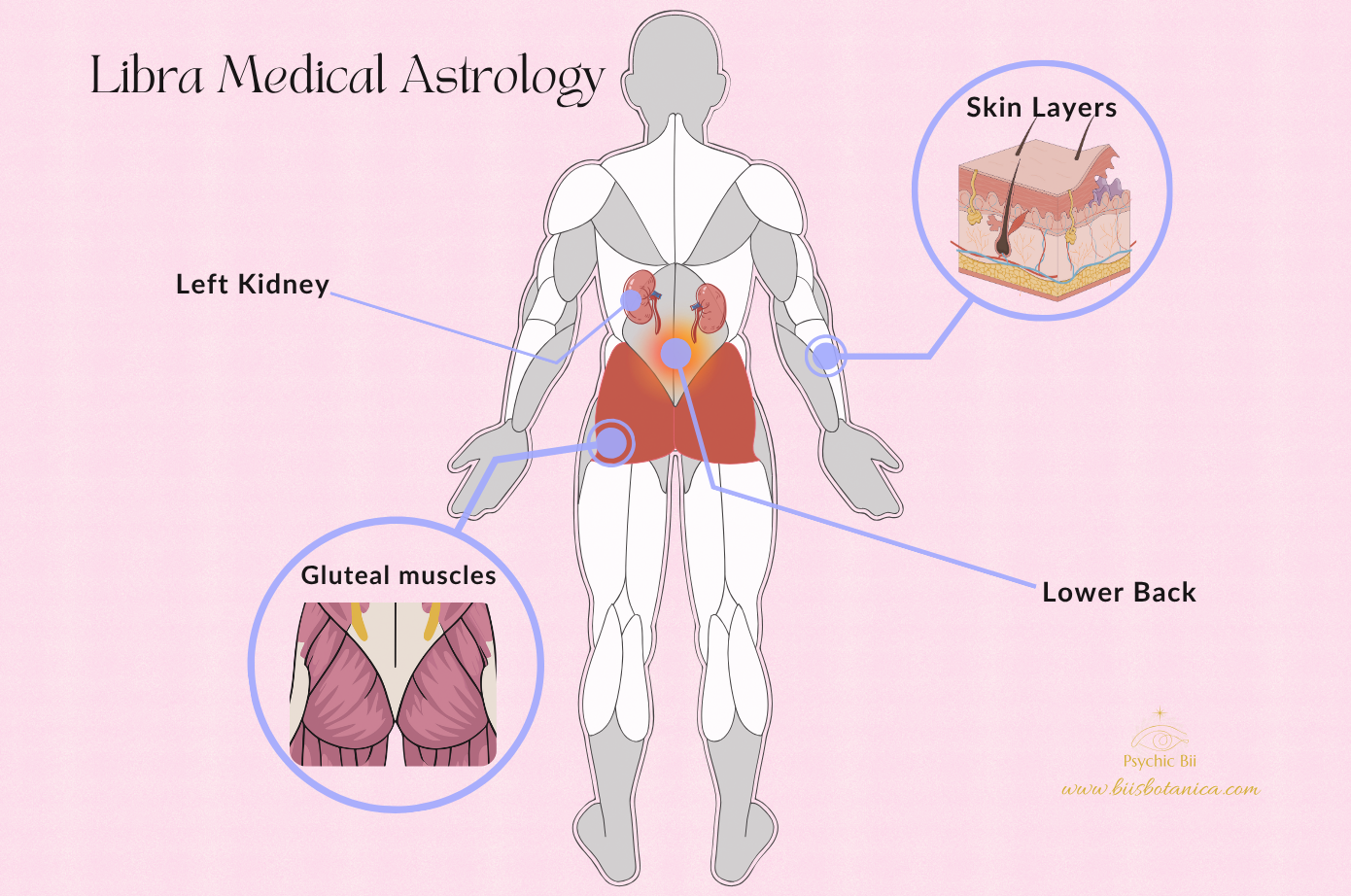 Astrology as Decision Intelligence cover photo collage