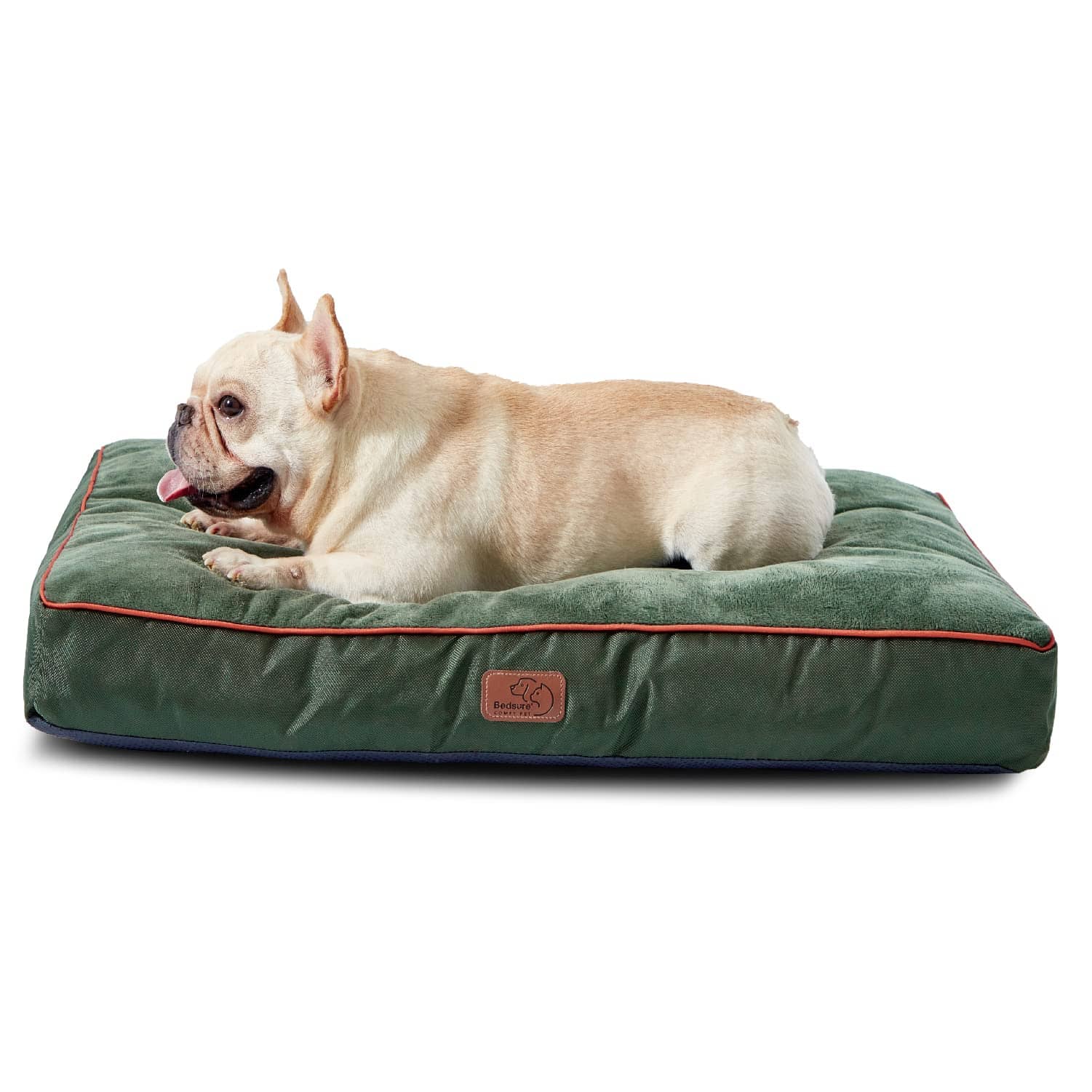 A Pet Owner’s Must Haves - by Someone with 6 cover photo collage