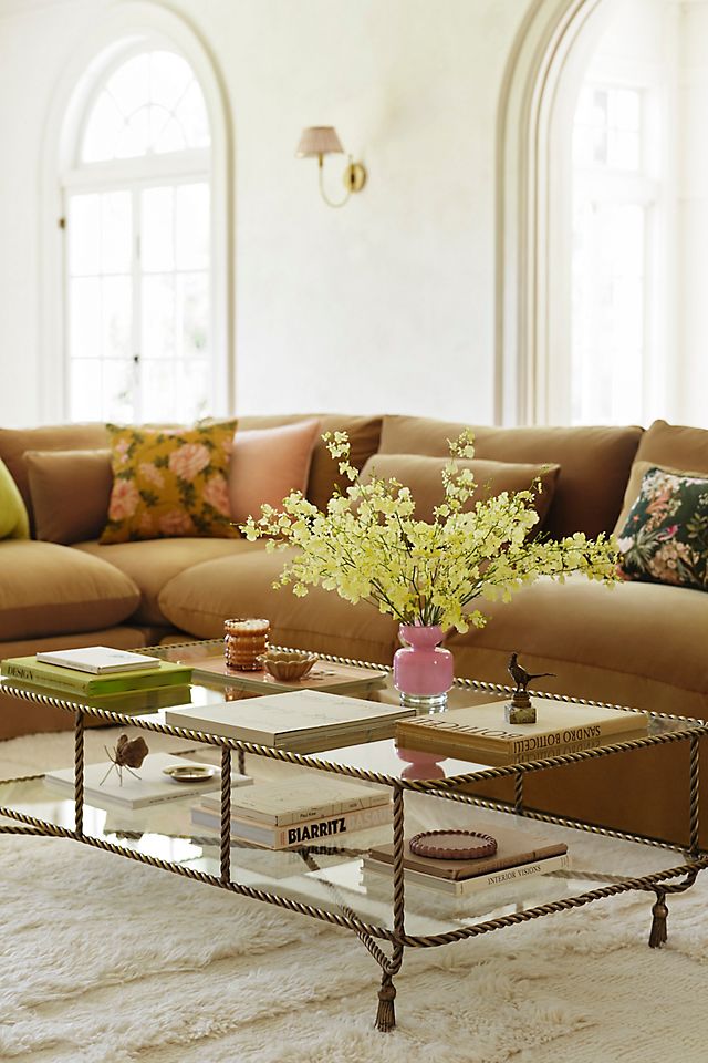 Anthropology Aesthetic Must - Haves cover photo collage