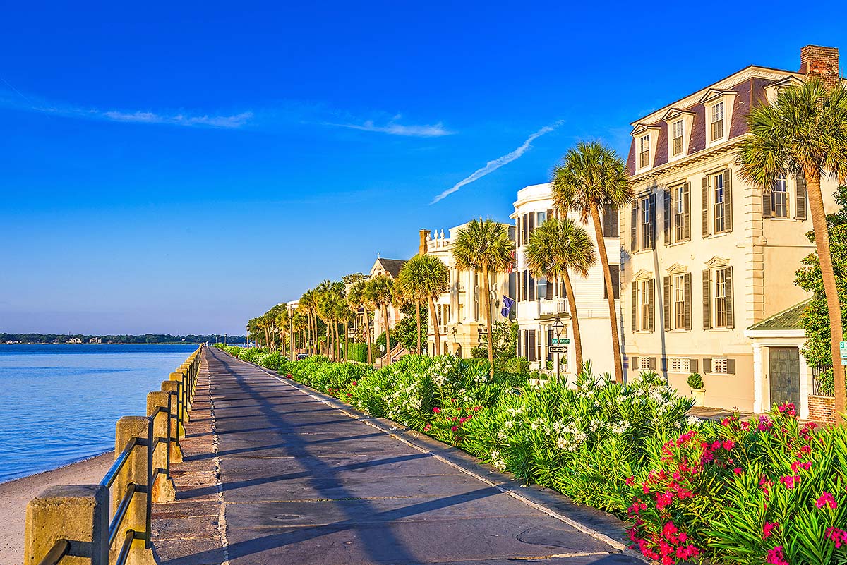 🌴Charmed by Charleston, SC🌴 cover photo collage