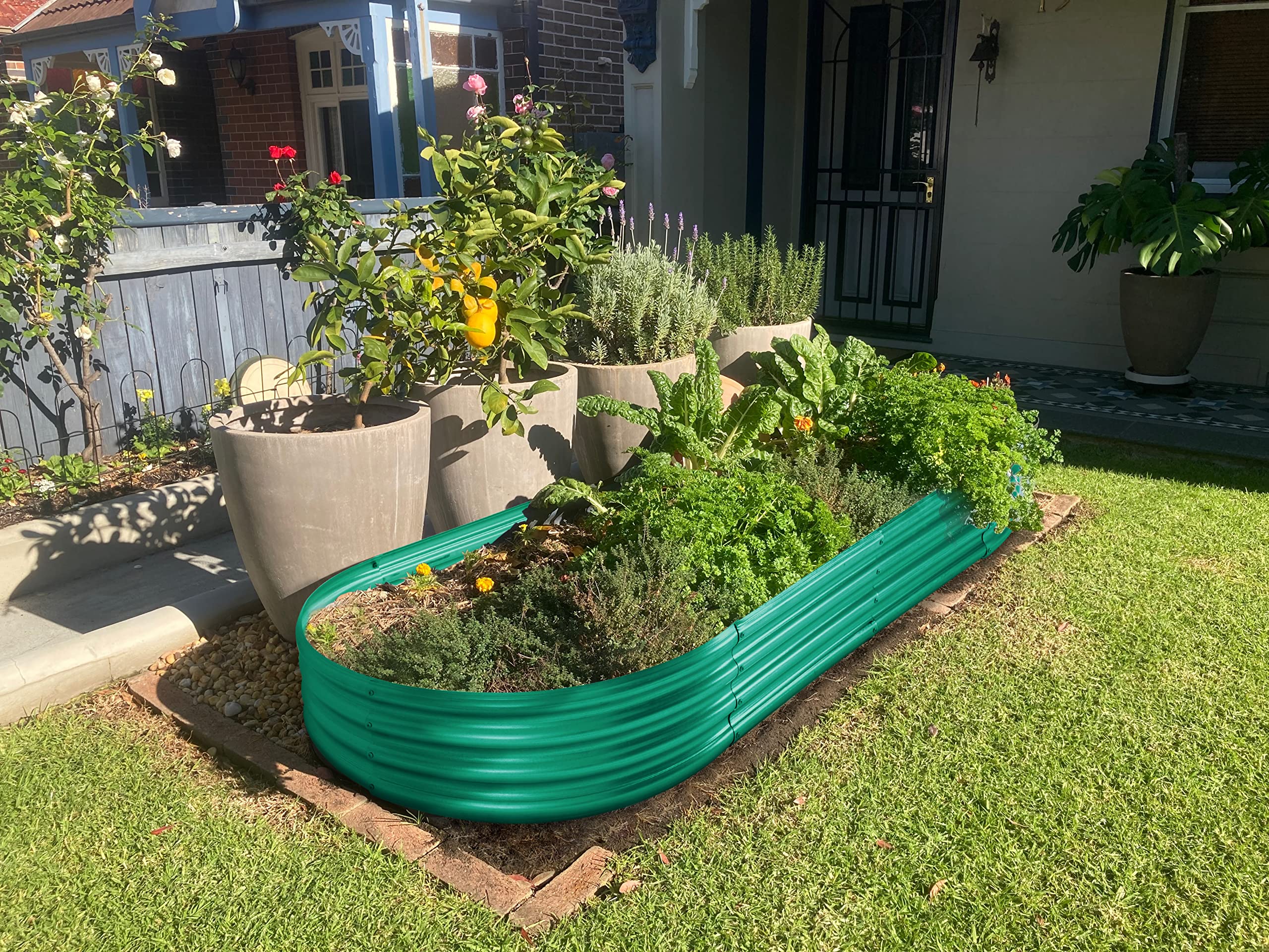 Gardening and starting my homestead cover photo collage