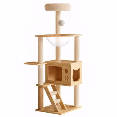 Must-have products for new cat lovers cover photo collage