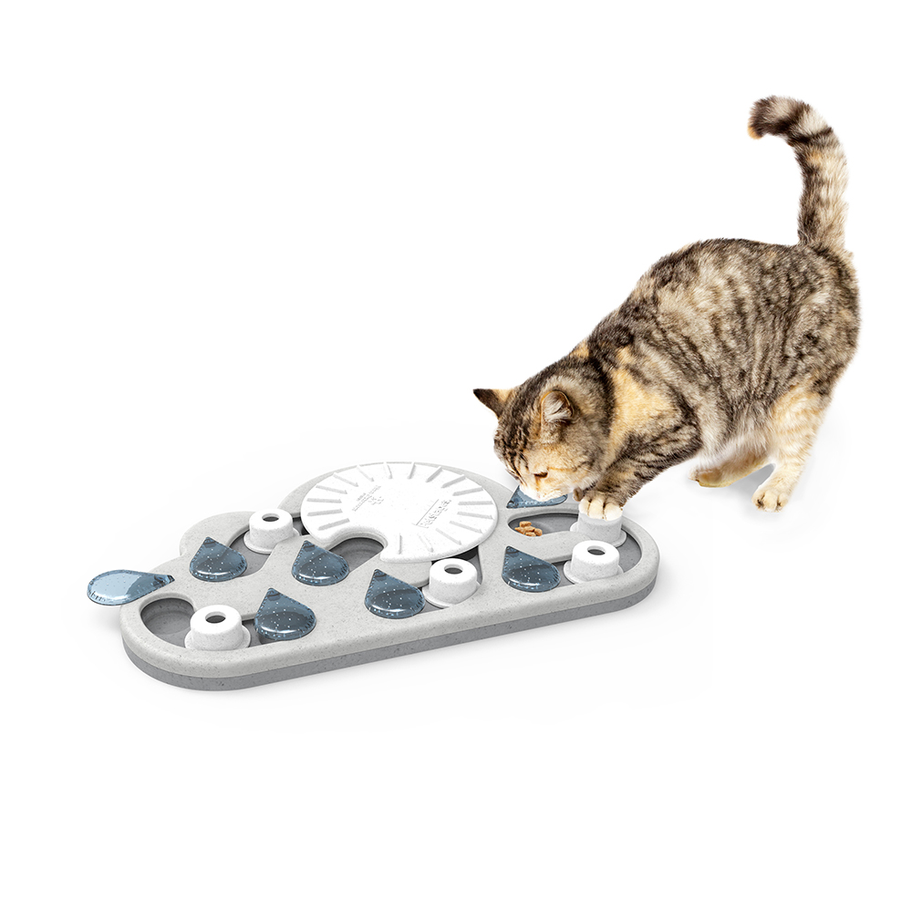 Cat enrichment toys that will entertain even the laziest of kitties cover photo collage