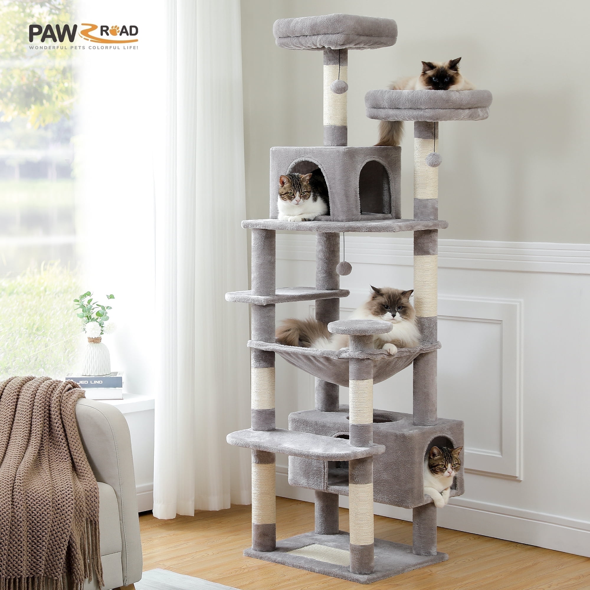 Stop wasting money — get this instead (your cat will thank you). cover photo collage