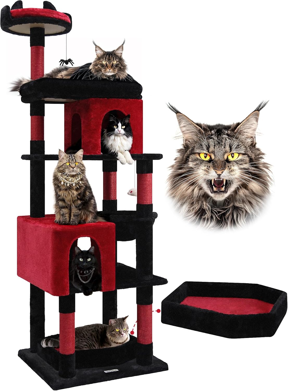 Cat Favorites - Tried & Tested by a Northern Kentucky Pet Sitter cover photo collage