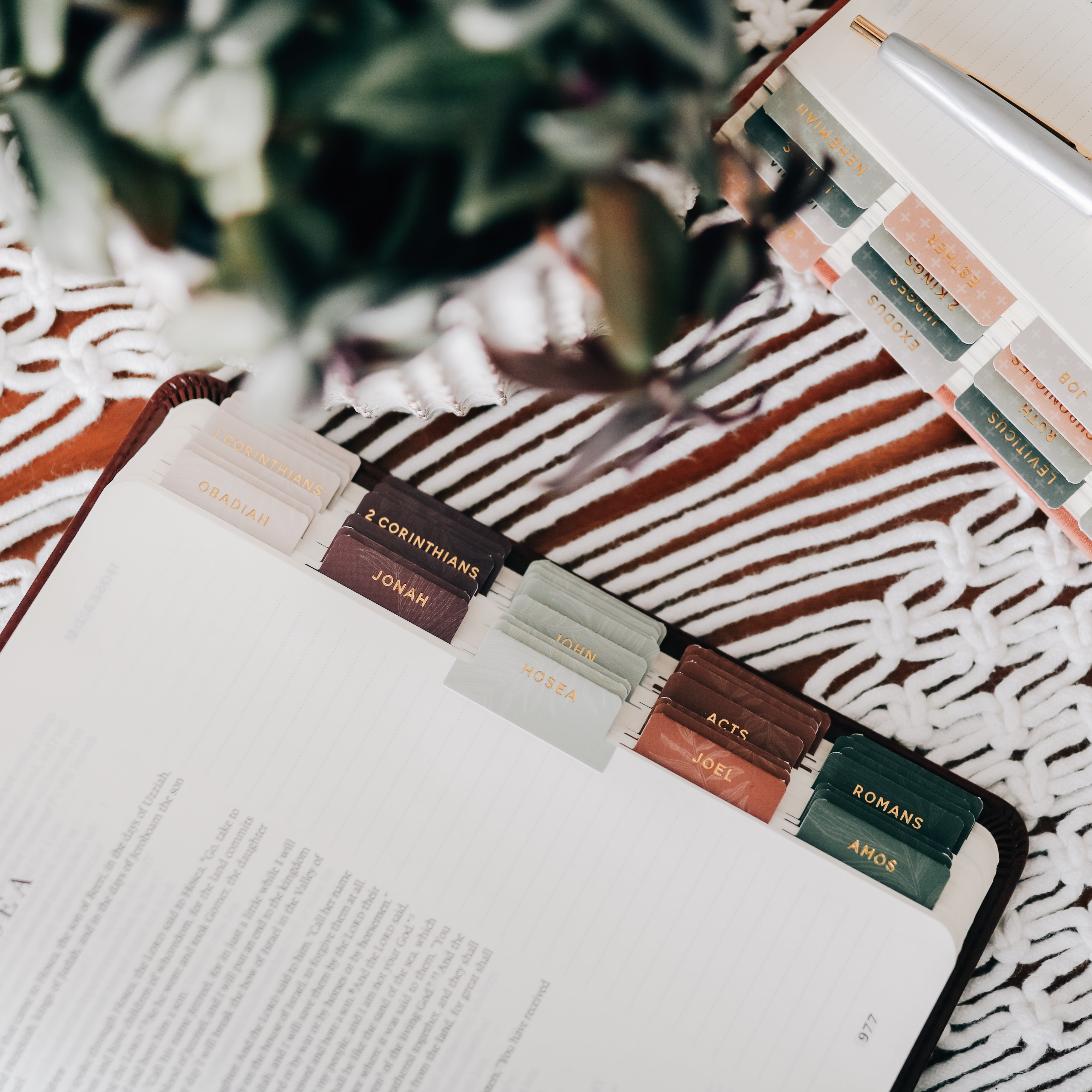 Bible Study Essentials: Let’s chat! cover photo collage