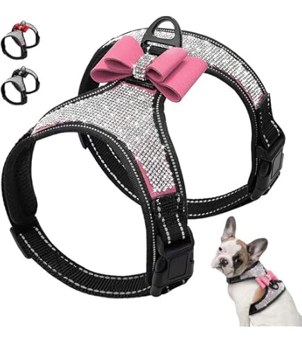 Happy Paws, Happy Home: My Top Must-Have Products for Pampered Pets (Because They Deserve the Best!) cover photo collage