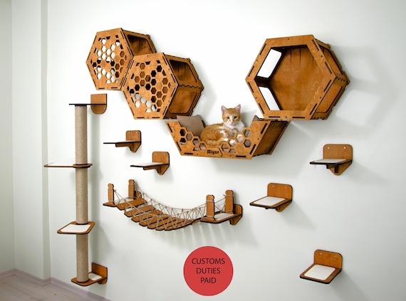 What Cats Really Want — Essentials for Kittens Through Senior Age cover photo collage