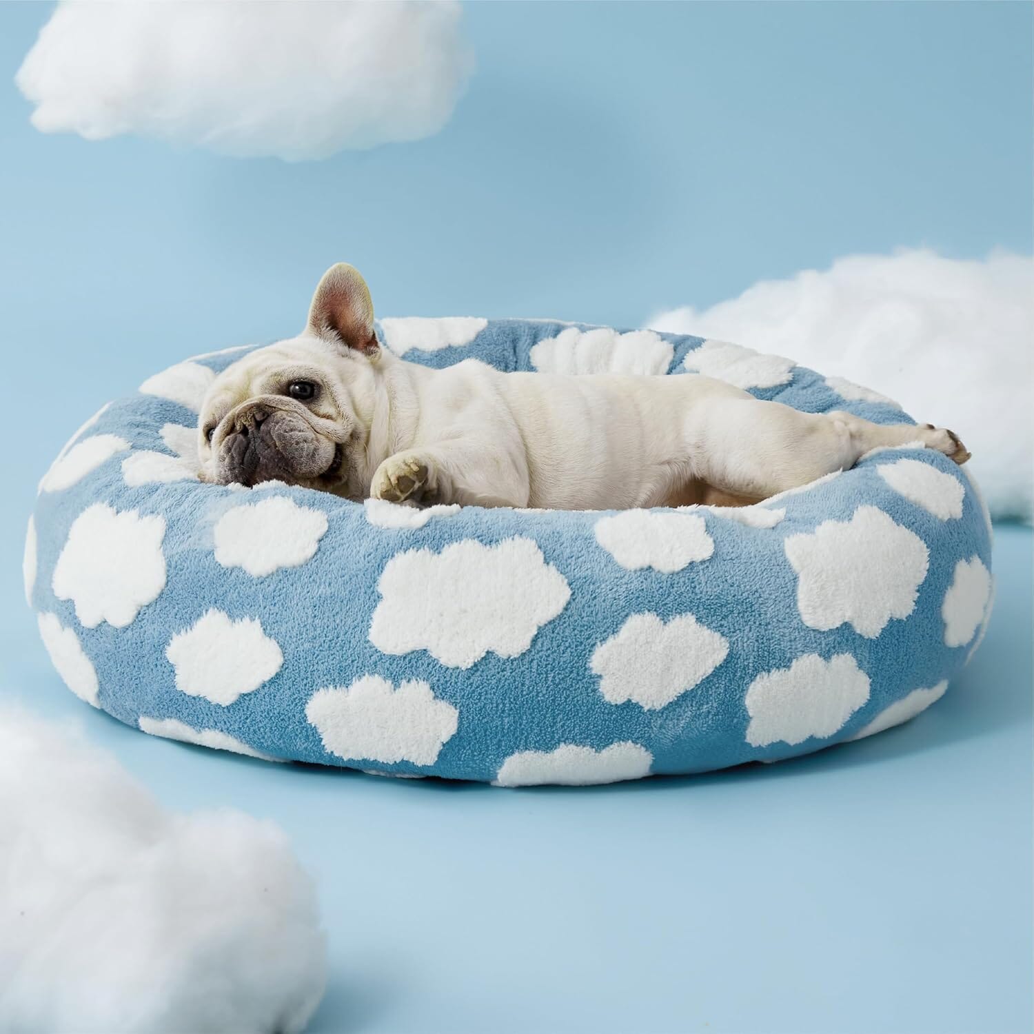 The pampered pup collection cover photo collage