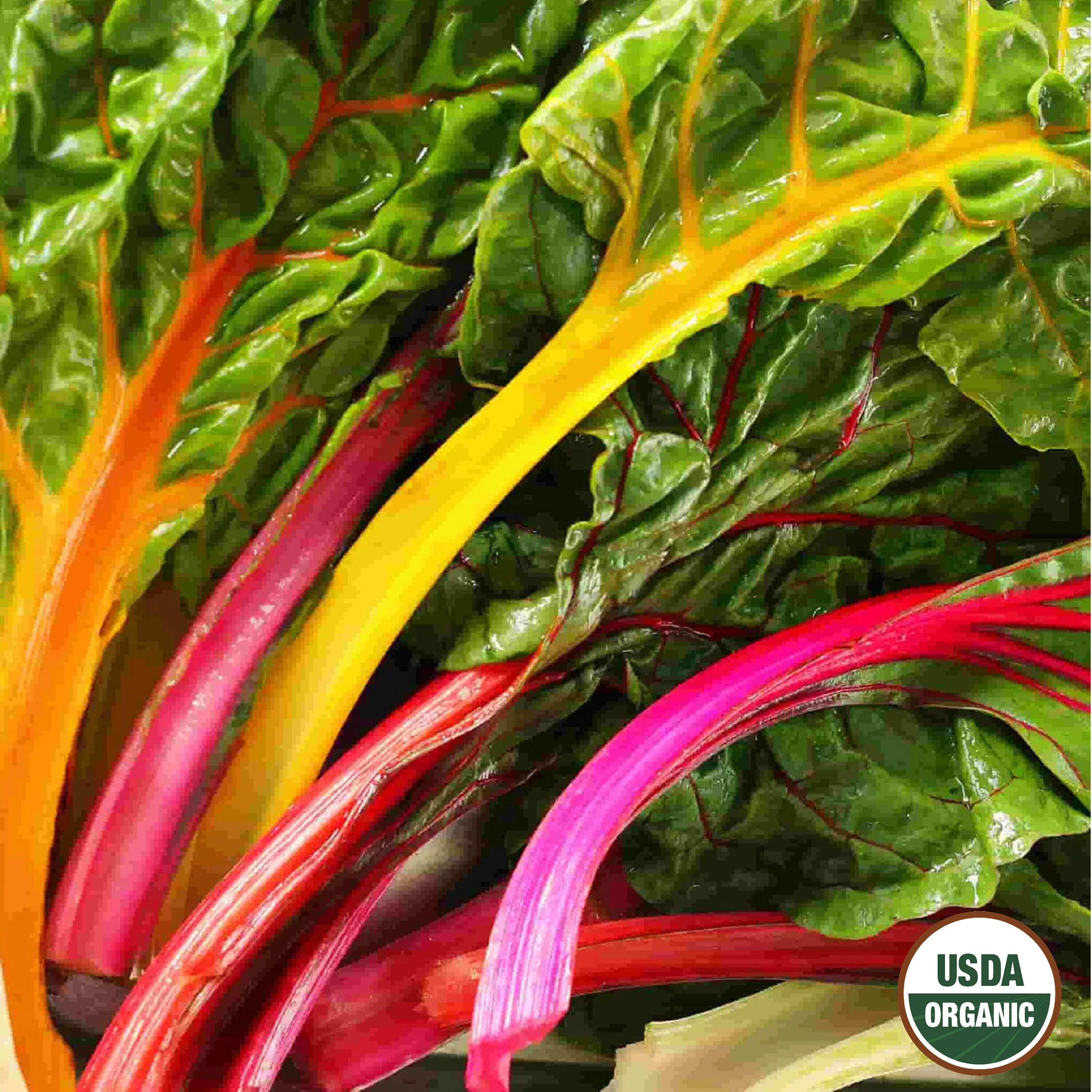 Surviving 2026 : What I am growing 🌱 cover photo collage