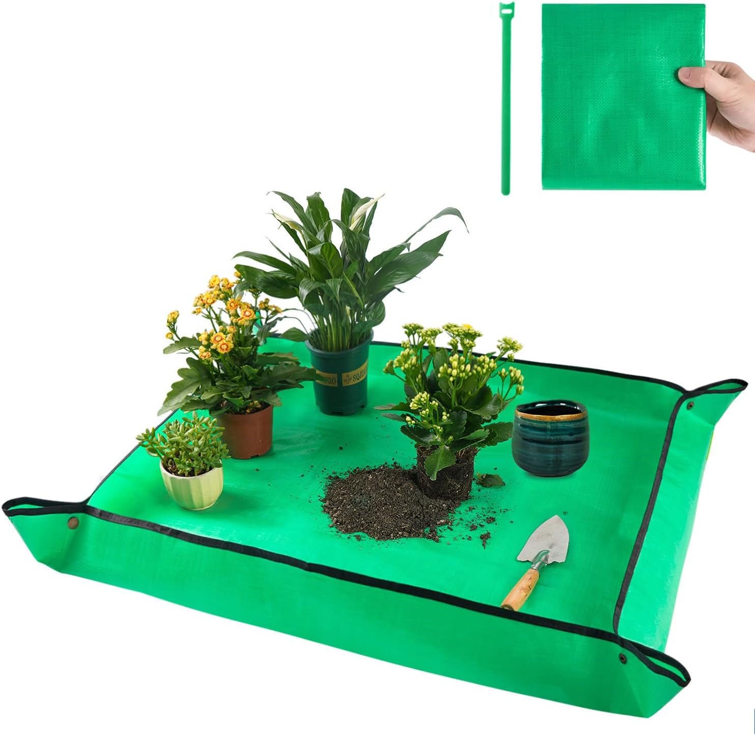 Houseplant Tools I Wish I Found Before I Killed 6 Pothos cover photo collage