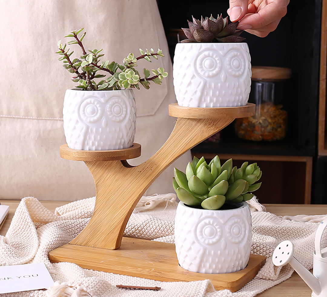 Bougie Gifts On A Budget ($25 Or Less) cover photo collage