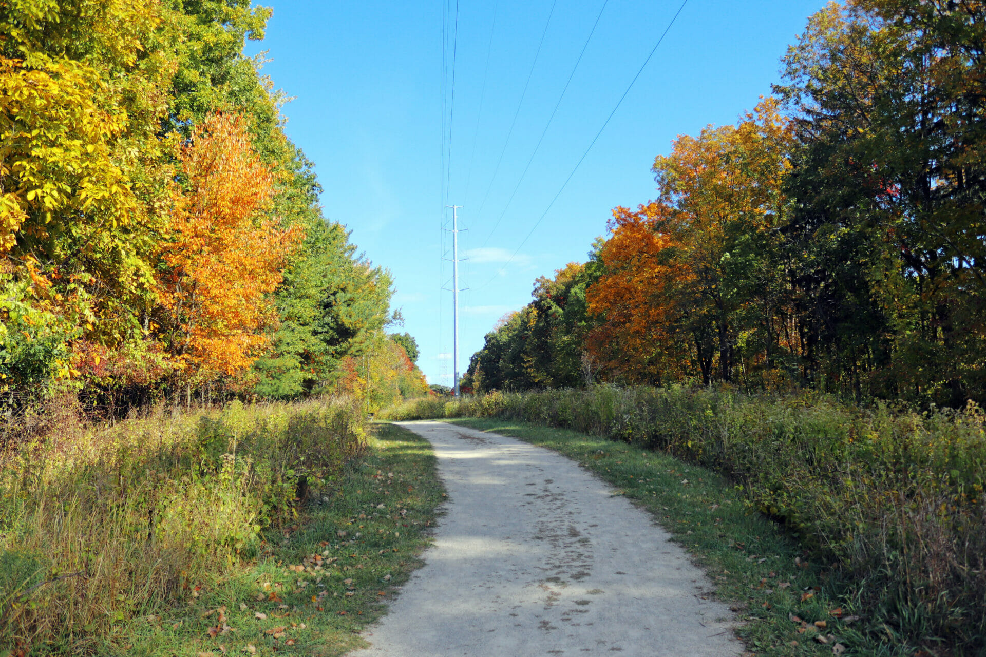 favorite things to do in metro detroit cover photo collage