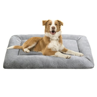 Top needed items for your puppy cover photo collage