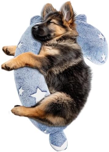 Products I use to keep my pups happy and healthy cover photo collage