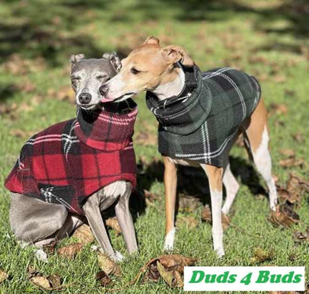 Little Dog, Big Favorites: Best Products for Small Dogs cover photo collage