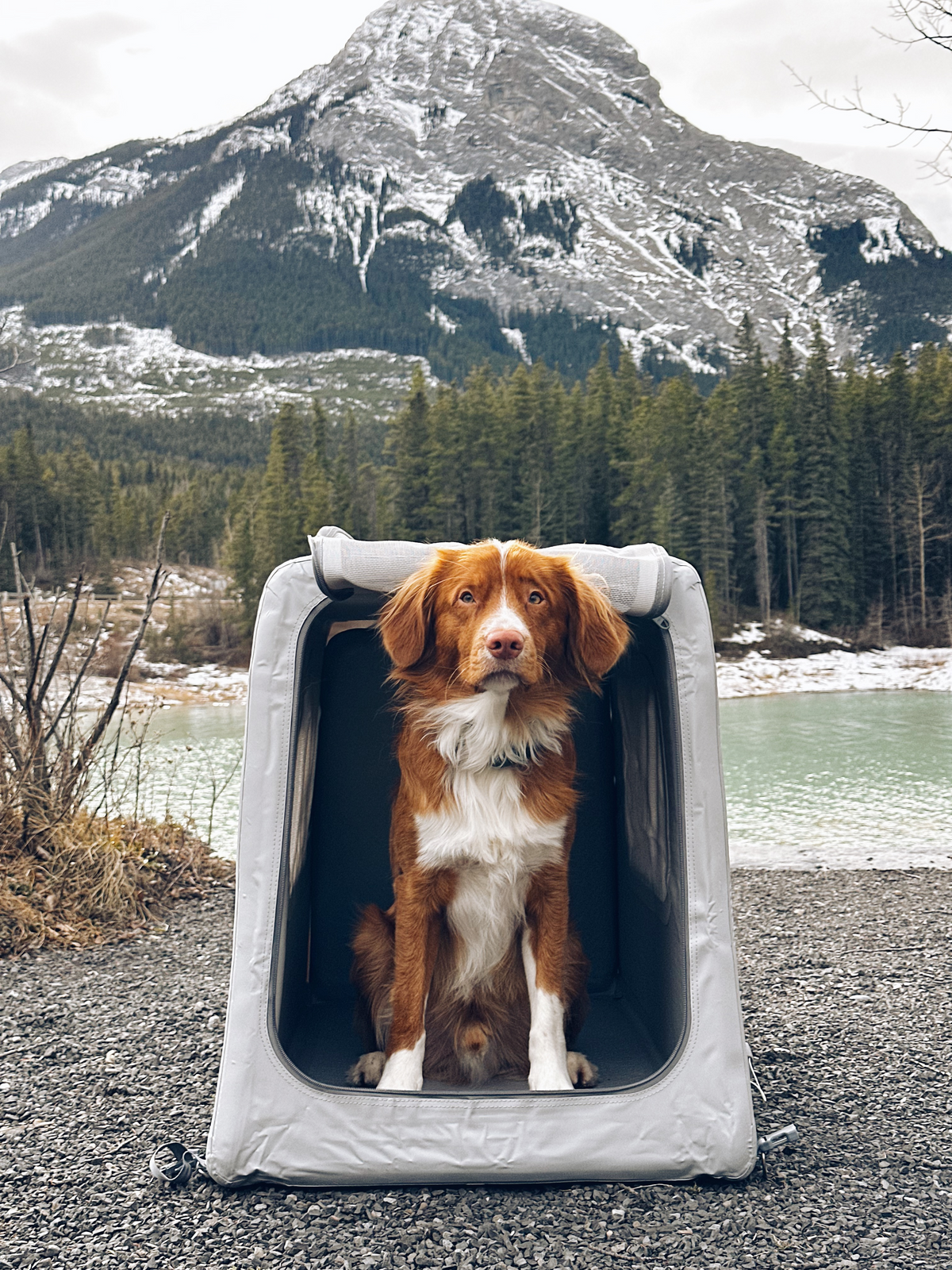 My Current Wishlist cover photo collage