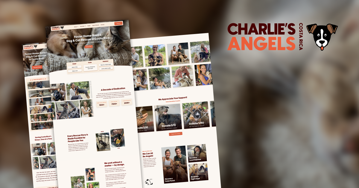 Animal Rescues and Vet's in Costa Rica cover photo collage