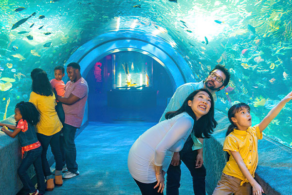 Kid-Friendly Things to Do in Kentucky (Toddler Approved) cover photo collage