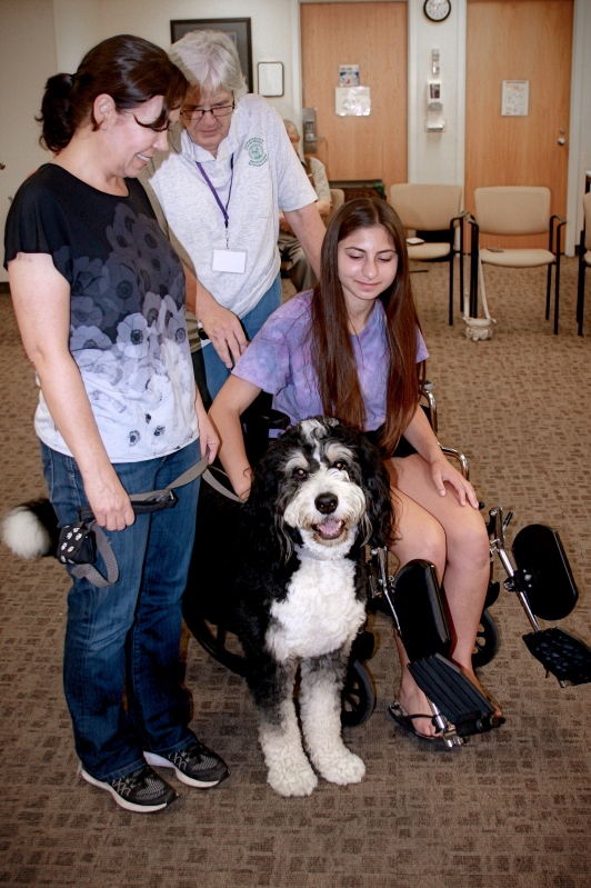 Wonderful organizations for couples and their guests to donate. cover photo collage