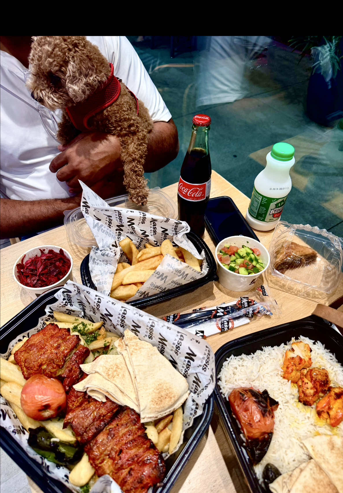 Pawsitively Perfect: My Favorite Dog-Friendly Spots! cover photo collage