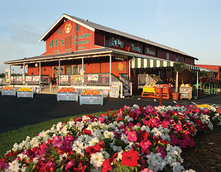 Fruit to Door cover photo collage