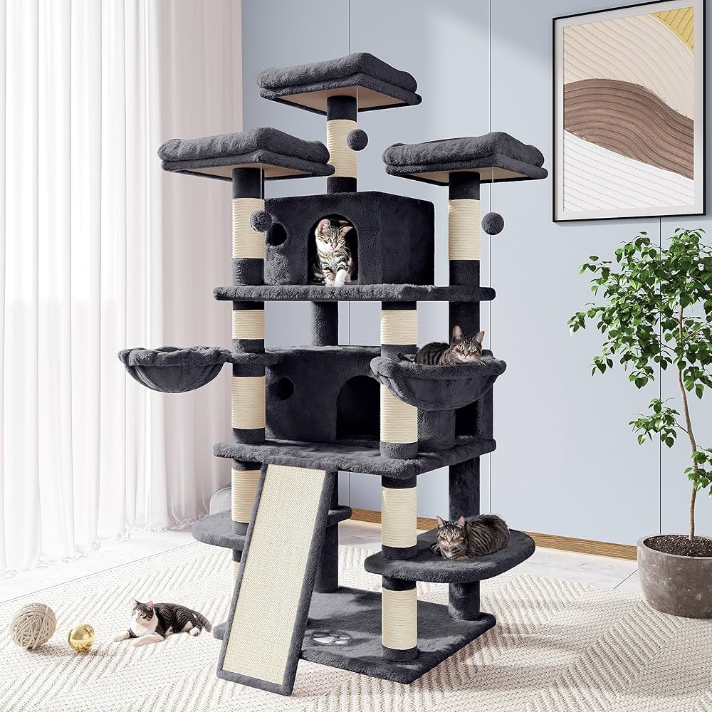 Your Cat's Favorite Things cover photo collage