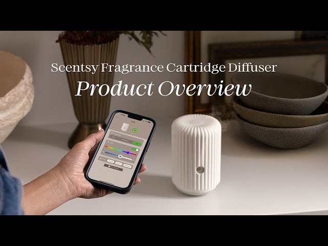 ✨ Trendy + Modern
2026 colors - paints, fashion,  decor and more!! cover photo collage