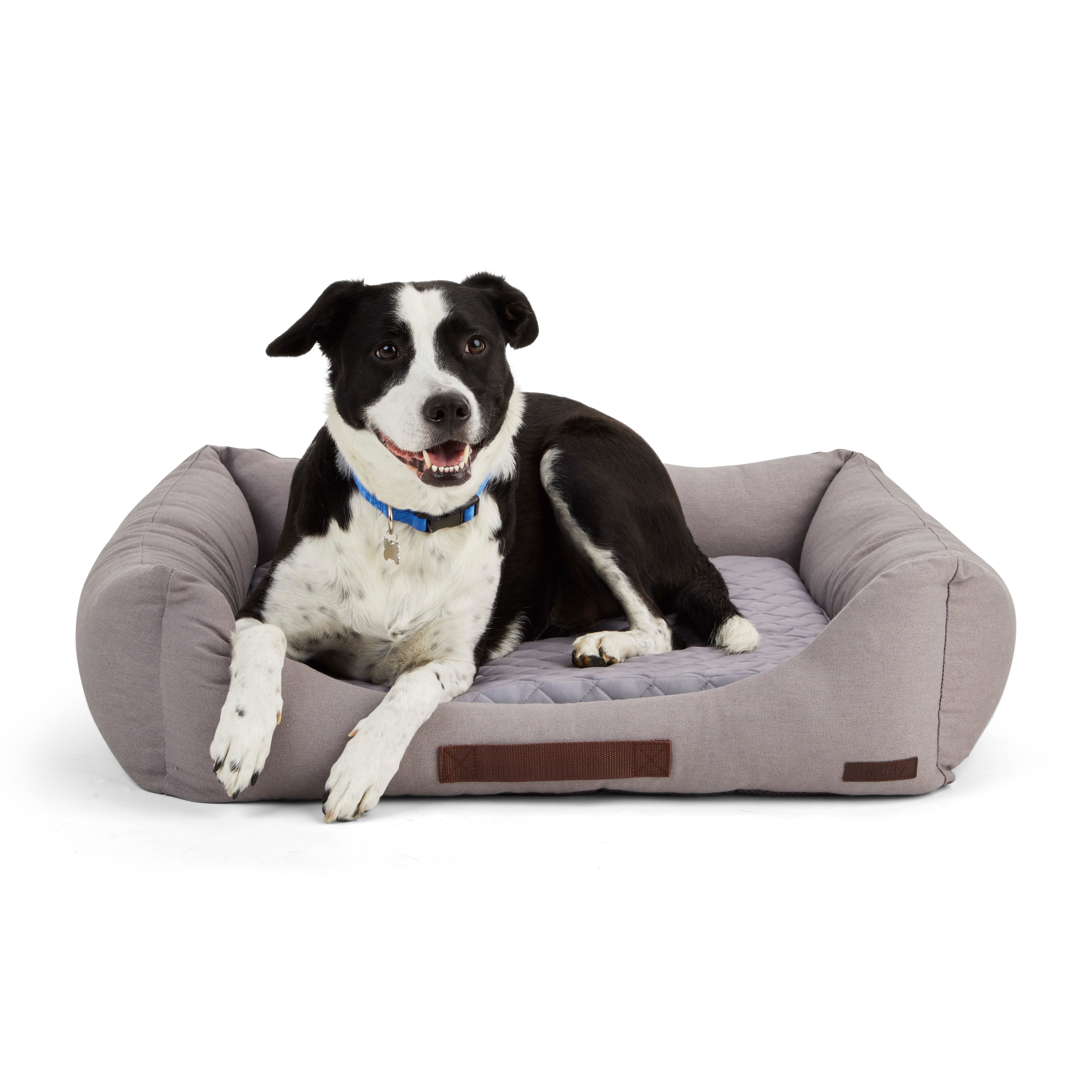 Must Have Dog Essentials (Tested & Loved) cover photo collage