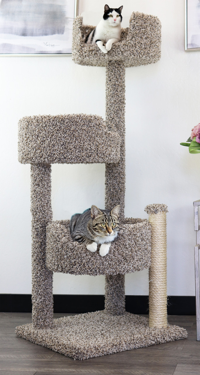 Crazy Cat Lady cover photo collage