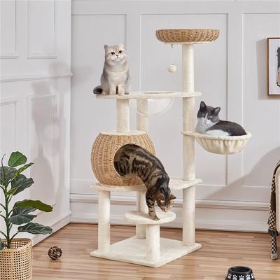 Recommended Products for Cat Parents!🐈 cover photo collage