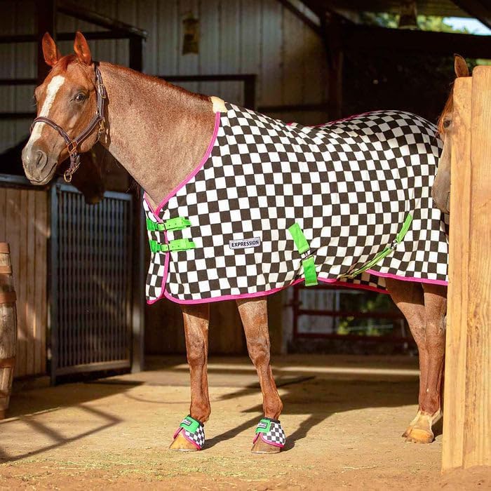 Basic Horse Care Essentials for Everyday Barn Life cover photo collage