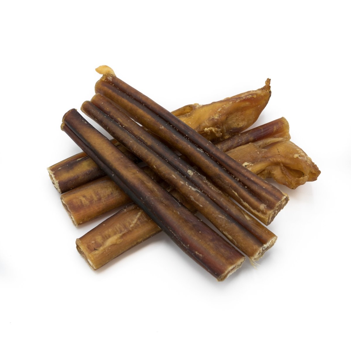 Yummy Chews For Your Pup cover photo collage