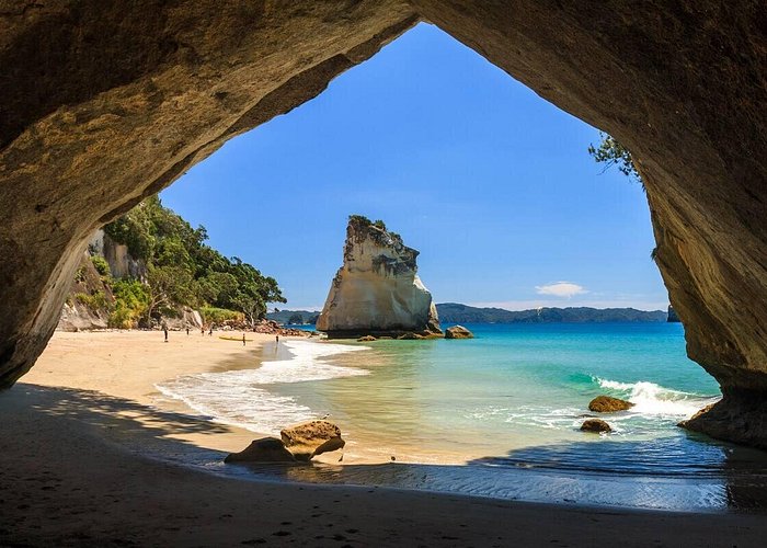 Destinations to Visit in New Zealand (North Island) cover photo collage