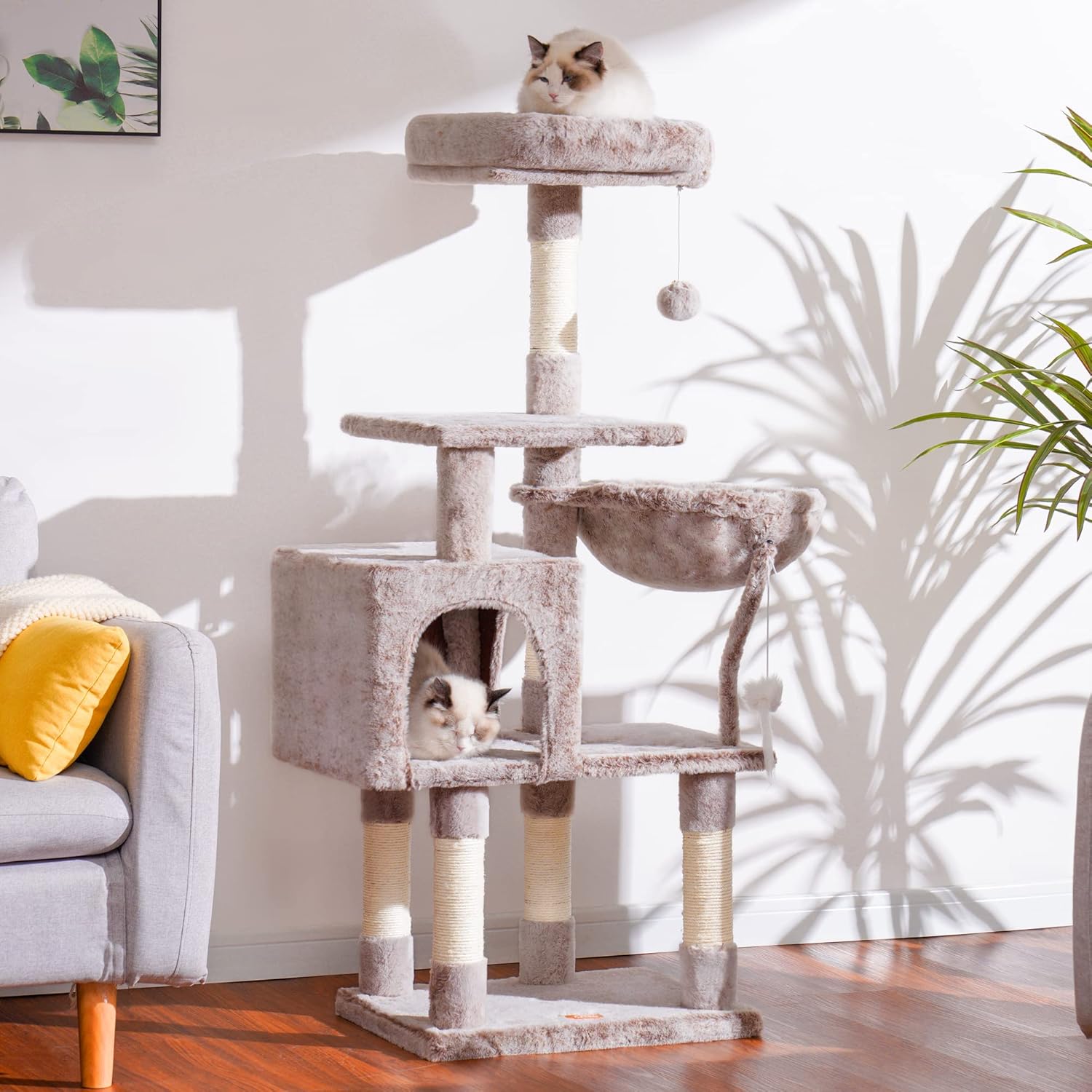 🐾Belle & Eevee's Cat Life🐾 cover photo collage