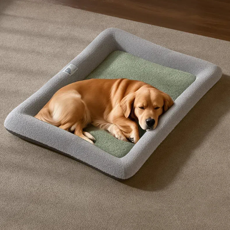 Supplies for Your Large Dog cover photo collage
