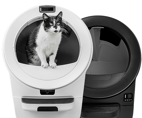 The prrr fect list for Cat needs and wants! cover photo collage