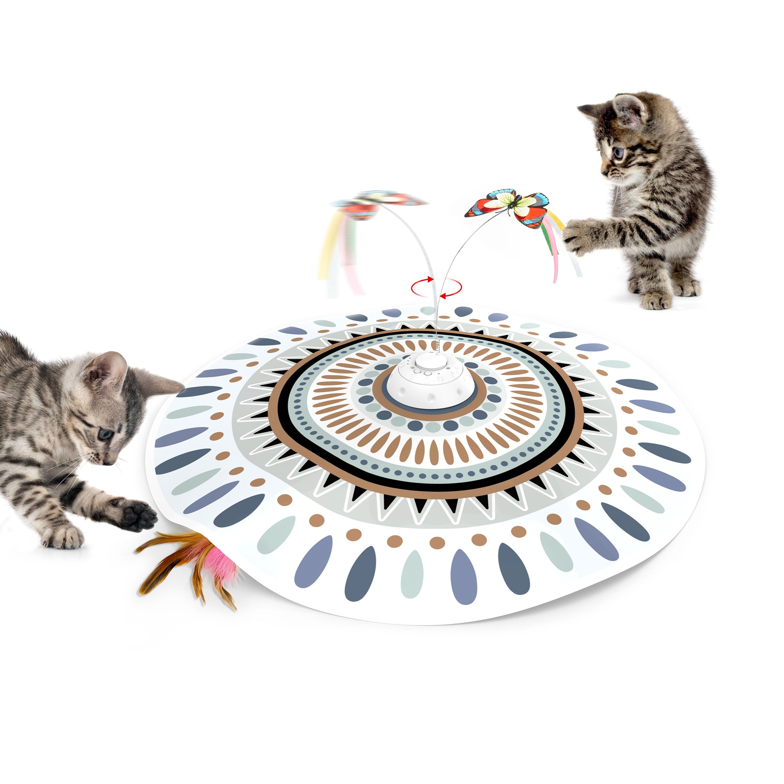 Pet Products I Actually Use (Dogs & Cats) cover photo collage