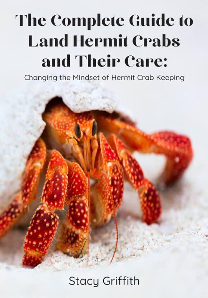 Hermit Crabitats and Care cover photo collage