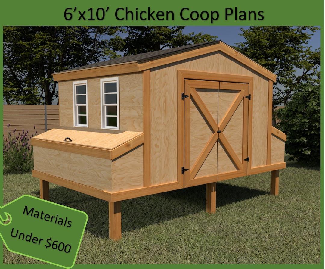 Chicken Coop for Beginners cover photo collage