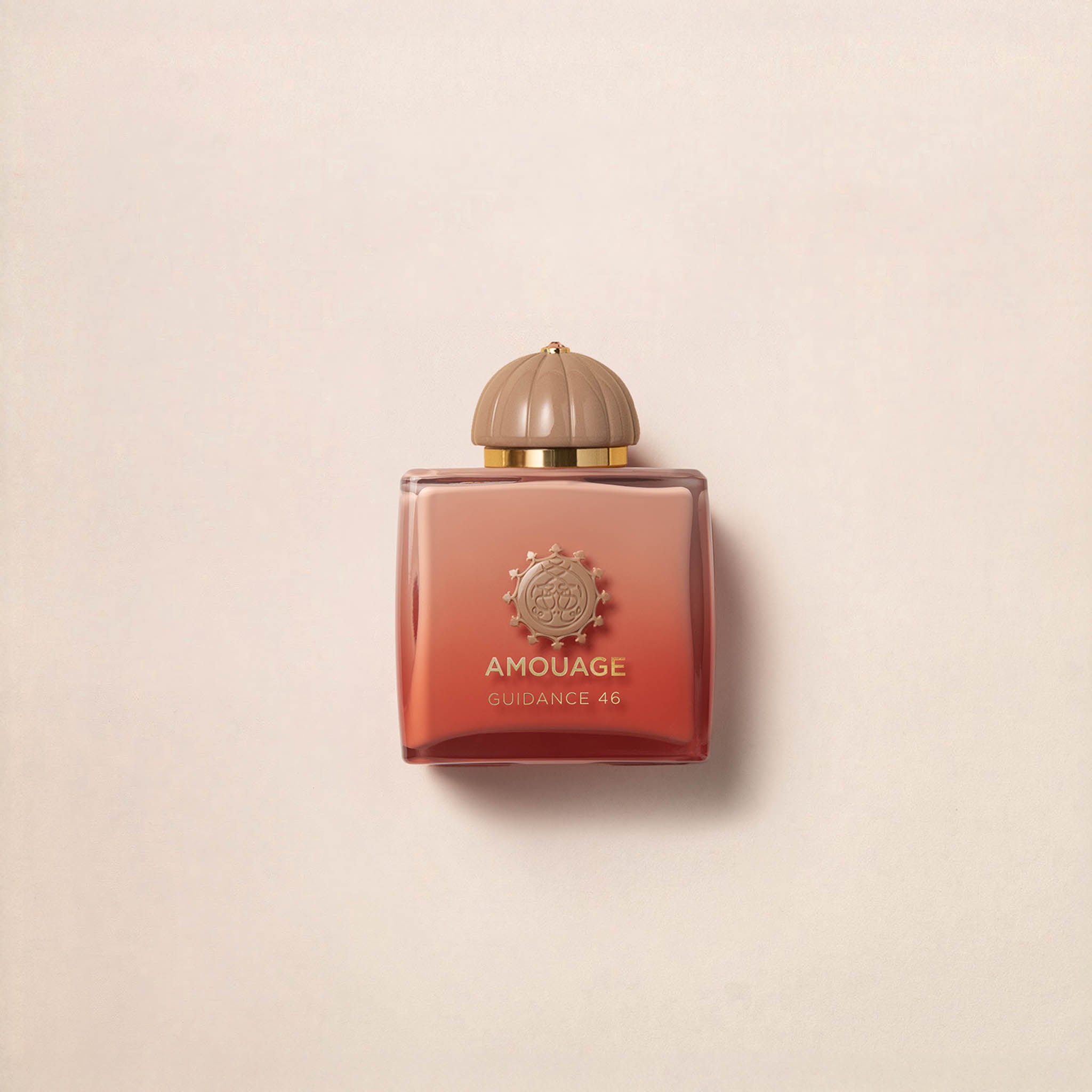 My Ladies' Perfume Wrapped 2025 cover photo collage