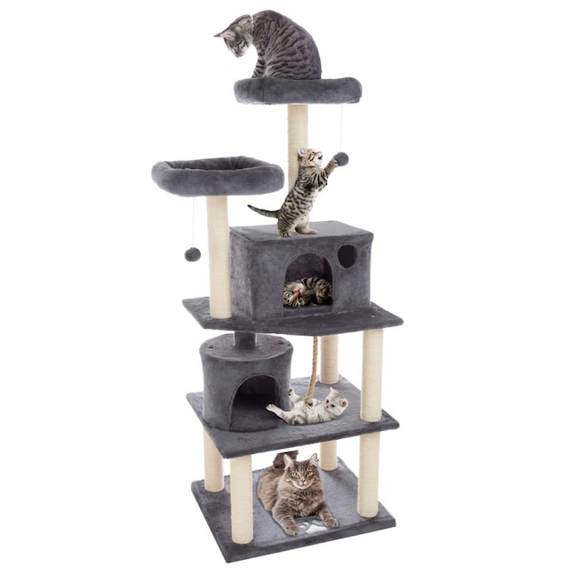 Pet Essentials cover photo collage