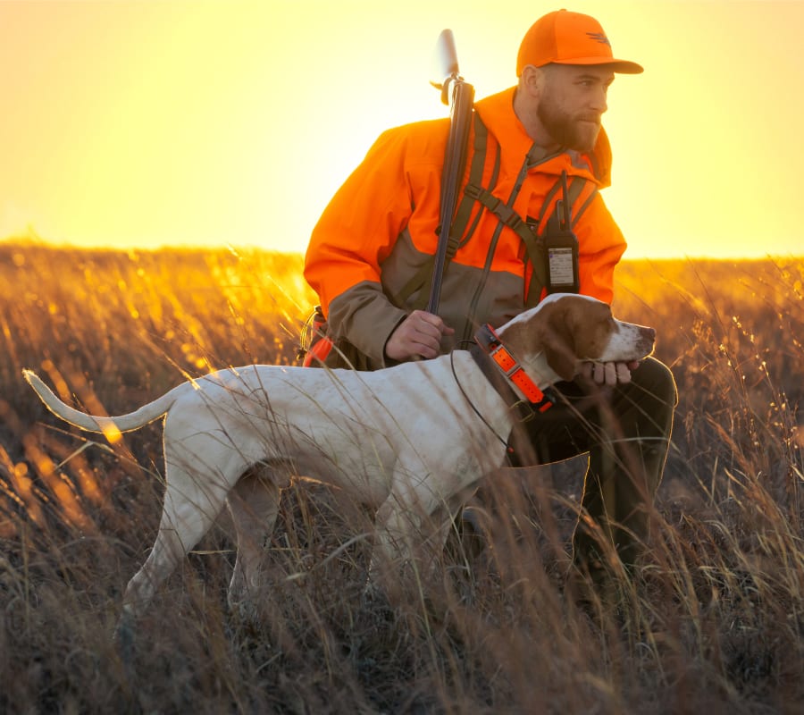 Pet Essentials for High Energy Breeds (GSP) cover photo collage