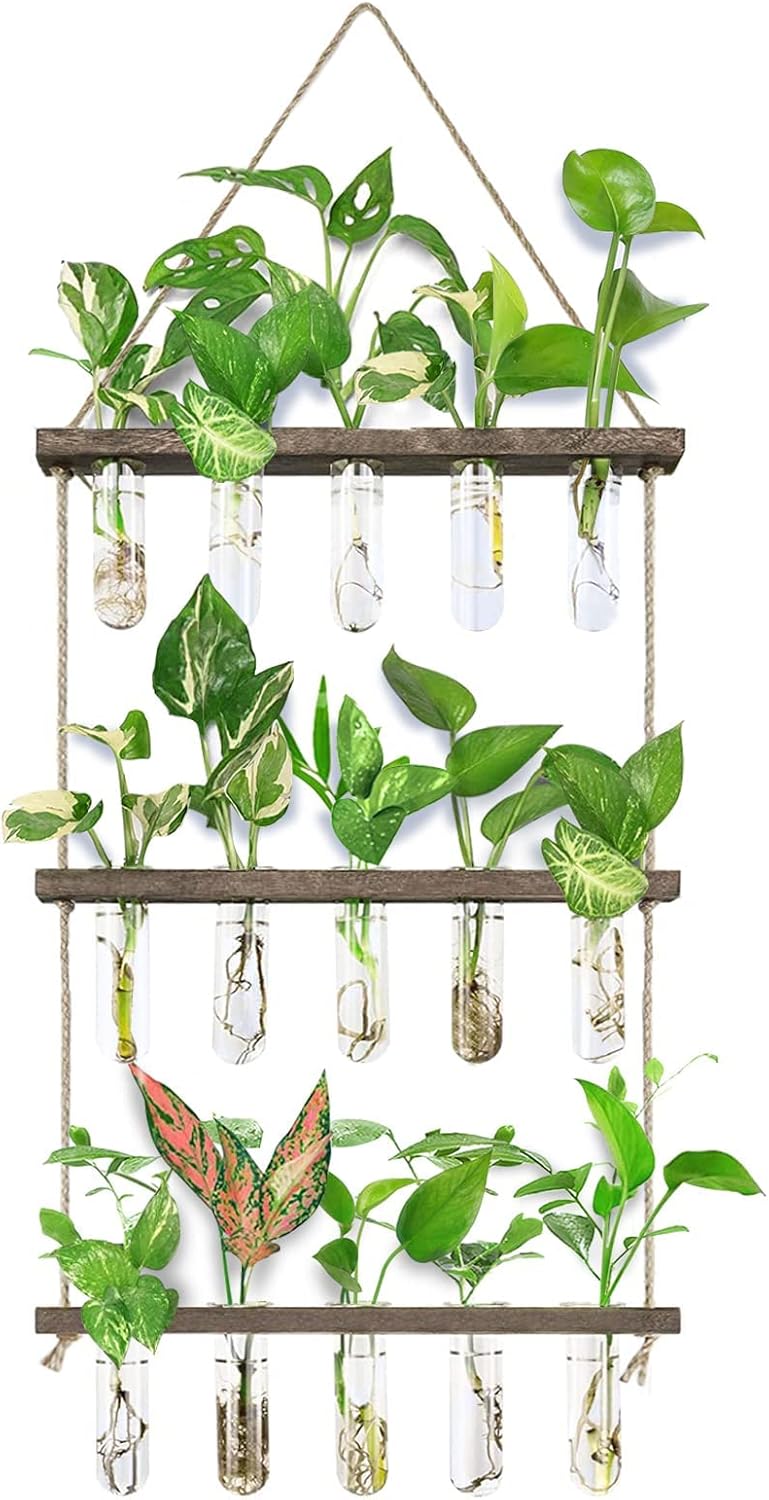 Plant Lovers cover photo collage